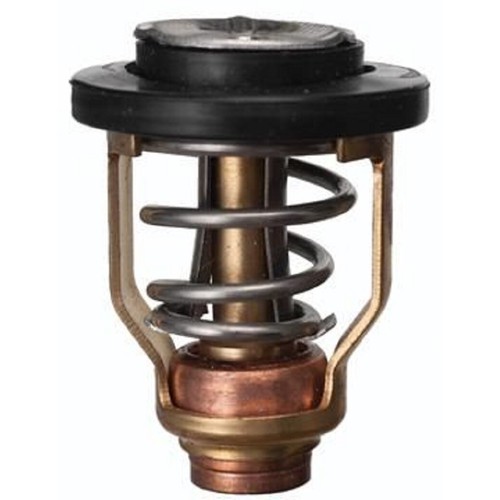 Termostato fuoribordo suzuki - termostato,